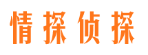 涪城市侦探